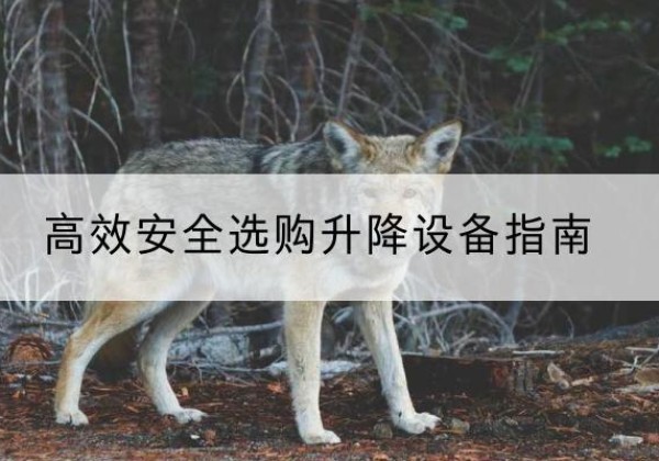 通榆升降货梯厂家推荐-*安全选购升降设备指南