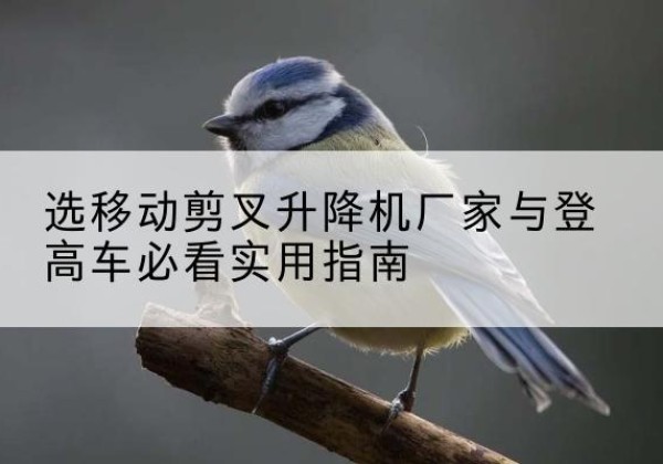 通榆电动升降机厂家-选移动剪叉升降机厂家与登高车必看实用指南
