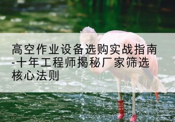 通榆剪叉式升降机厂家-高空作业设备选购实战指南-十年工程师揭秘厂家筛选核心法则